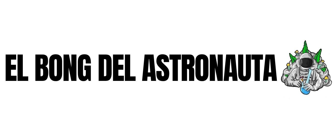 elbongdelastronauta.cl